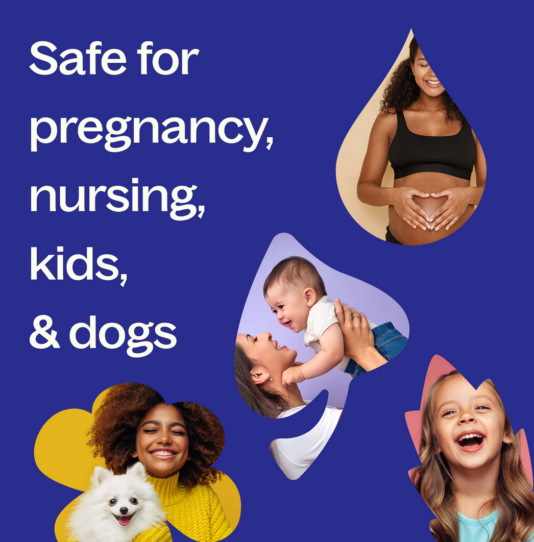 Organic Lavender Essential Oil - 10ml