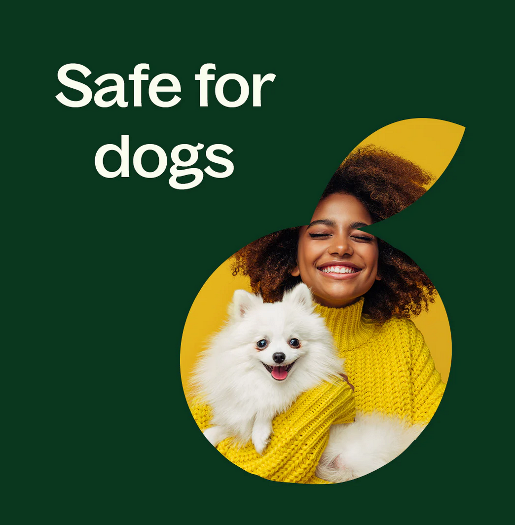 Organic Lemongrass Essential Oil - 10ml